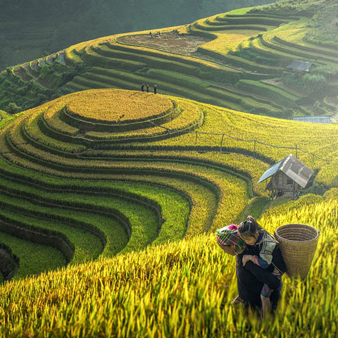 Best of Vietnam 2022