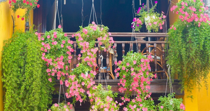 Vietnam and Cambodia Top Destinations 15 Days