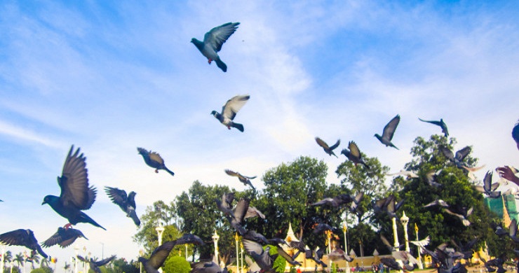 Vietnam and Cambodia Top Destinations 15 Days