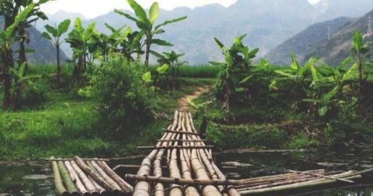 Vietnam's Insight 18 Days