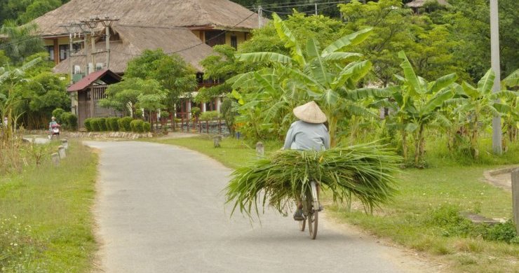 Vietnam's Insight 18 Days