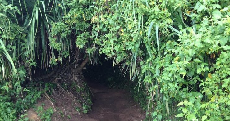 Vietnam's Insight 18 Days