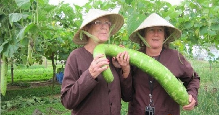 Grand Vietnam For Beach Lovers 17 Days